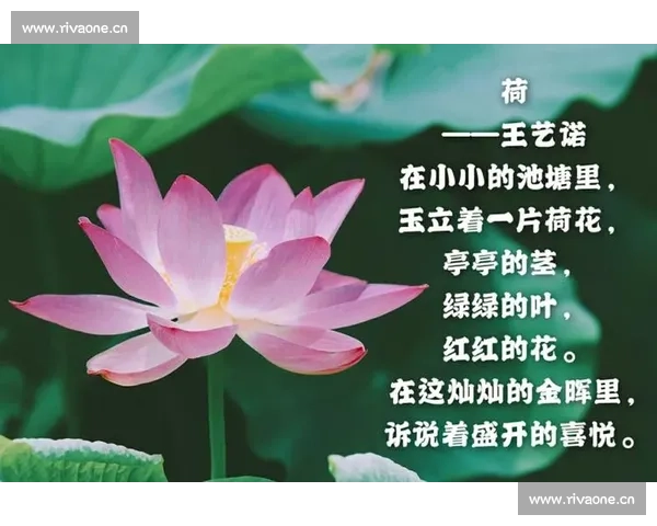 一次难忘的歌咏比赛带给我的成长收获与深刻情感体悟经历点滴回响